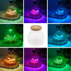 Round Glass Jar Storage Container, Plant Terrarium Display Glass, Moss Ball Bud
