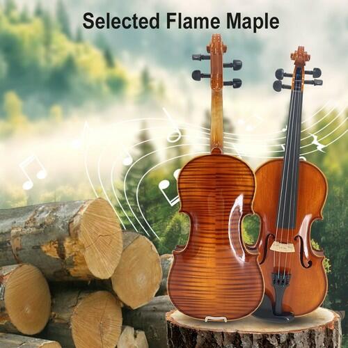 Vetimobato 4/4 Full Size Violin Set Solid Maple Spruce Complete Kit Case Bow