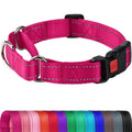 Joytale Martingale Collar for Dogs, Reflective Heavy Duty for Safety, Quick
