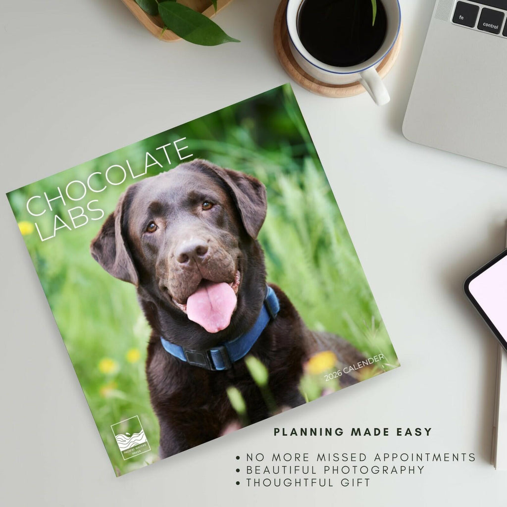 Chocolate Lab 2026 Wall Calendar | 12" x 24" Open | Dog Calendar Photography