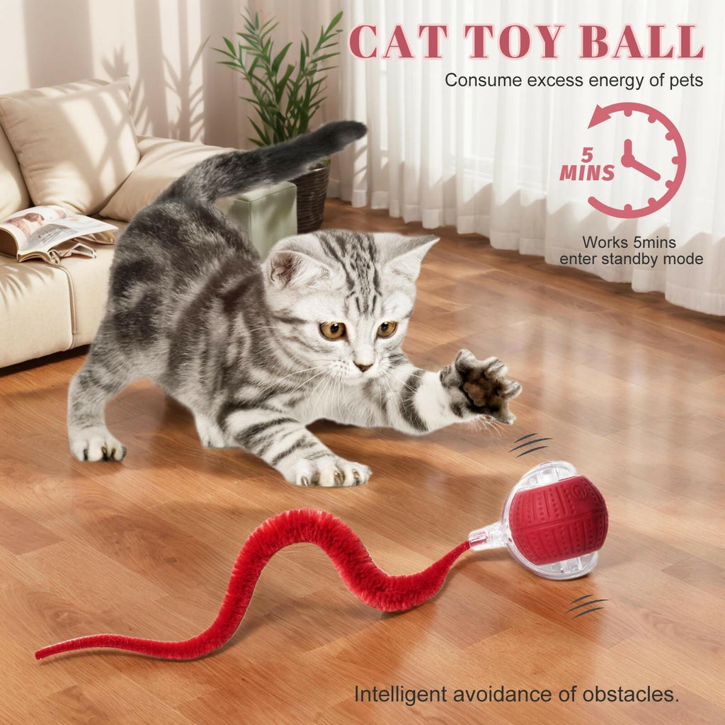 NVTED 2 PCS Interactive Cat Toys for Indoor Cats, Fast Rolling on Carpet Flash