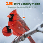 PawPeri Bird Feeder with Camera 2.5K HD Live Video, AI Bird Identifier, 5MP