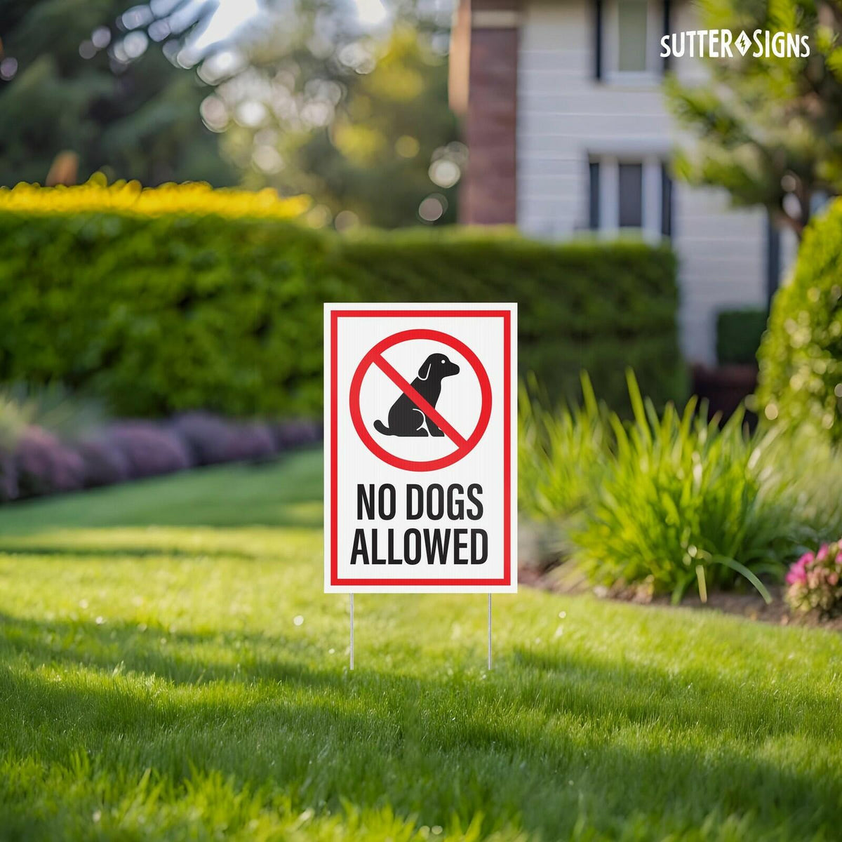 OPEN BOX - Pack of 3 No Dogs Allowed Yard Signs with H-Frame Stakes, 8" x 12"