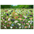 OPEN BOX - Funwares Original 101 Puppies Puzzle – 500-Piece Hilarious Dog Jigsaw