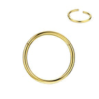 FANSING 16g 6mm Nose Hoop 16 Gauge Hinged Seamless Piercing Jewelry Ring for