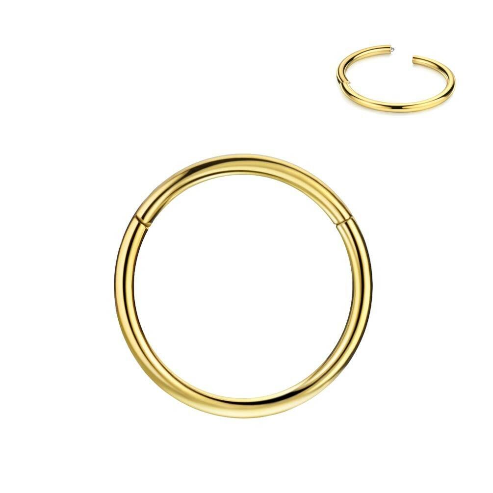 FANSING 16g 6mm Nose Hoop 16 Gauge Hinged Seamless Piercing Jewelry Ring for