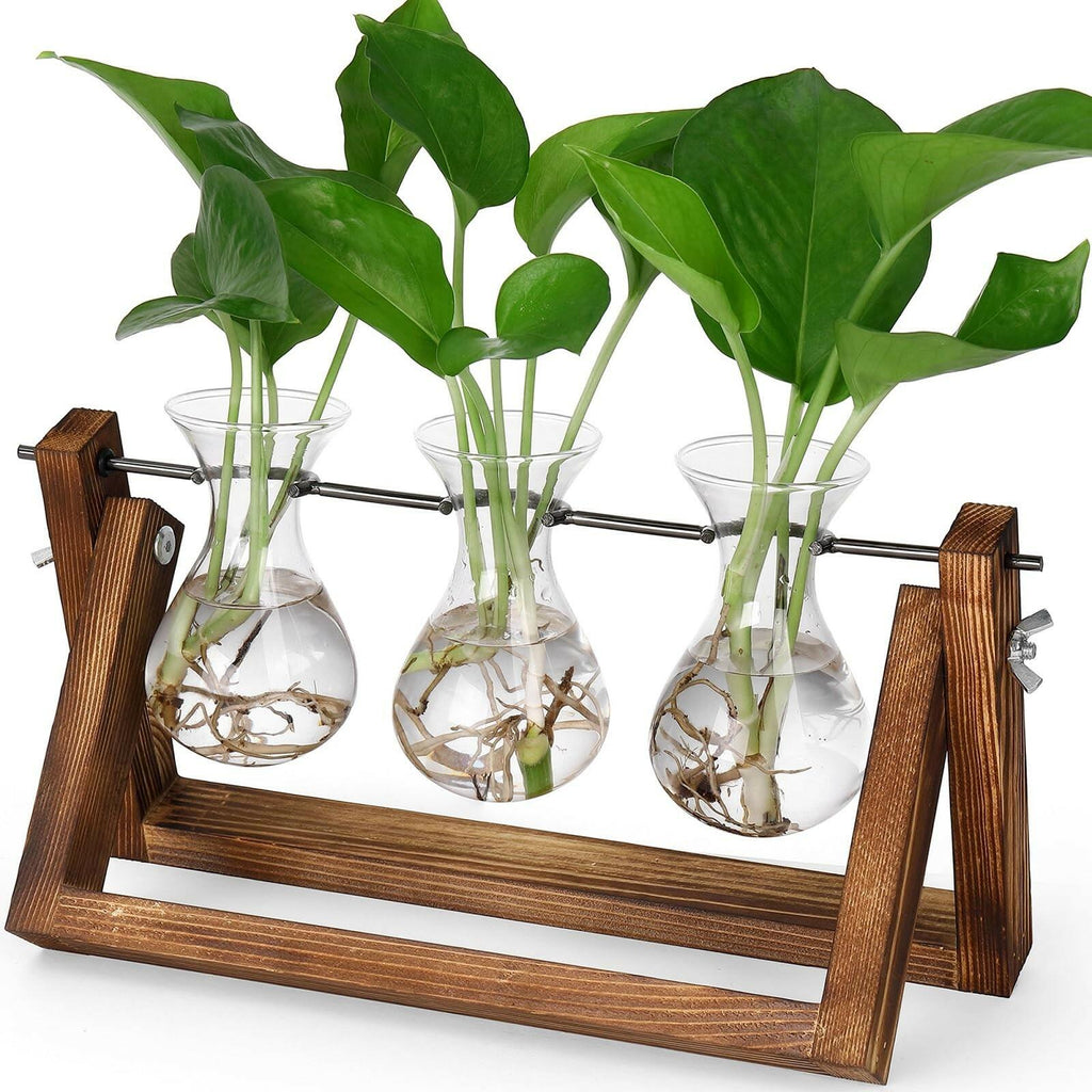 YIBOT Propagation Stations,Plant Terrarium with Retro Wooden Stand, Unique