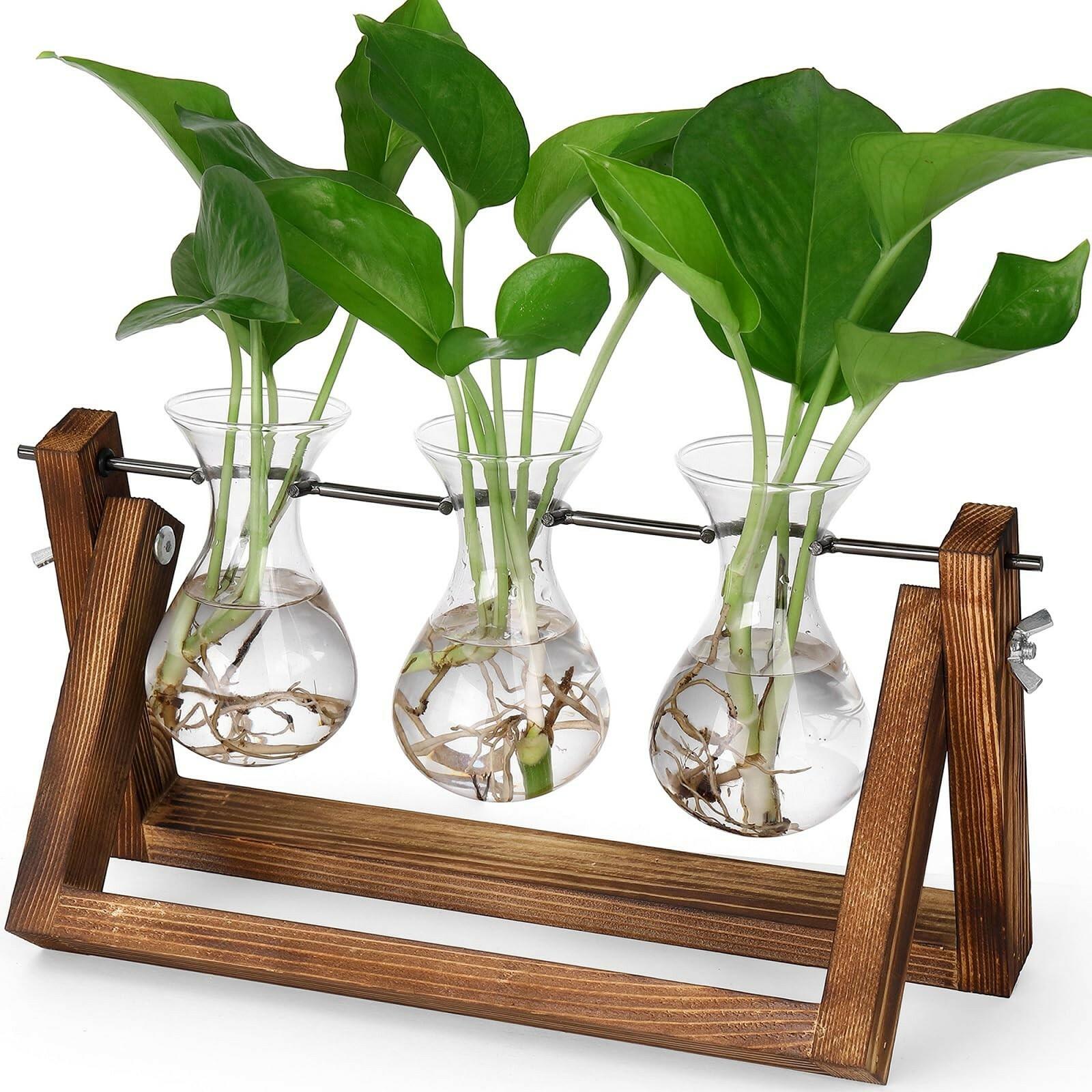 YIBOT Propagation Stations,Plant Terrarium with Retro Wooden Stand, Unique