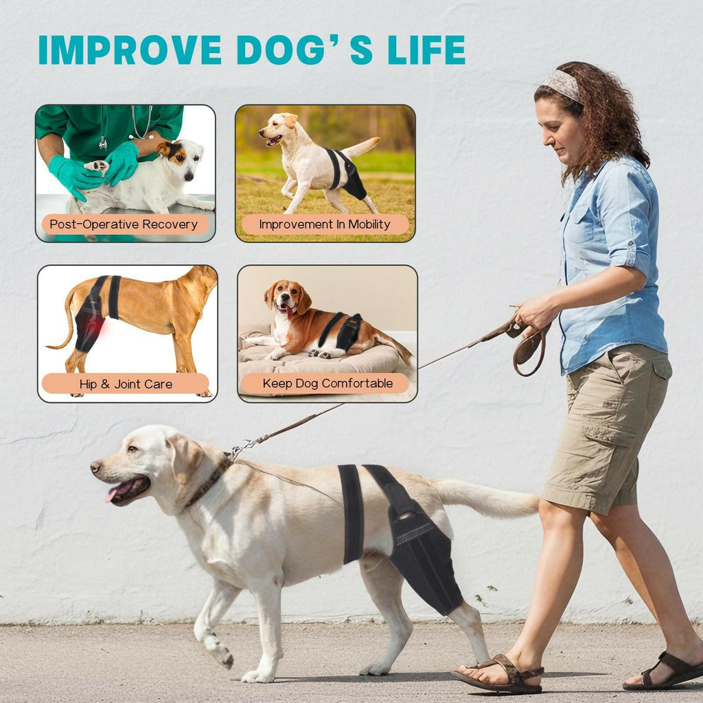 GoGoPaw SMALL Dog Knee Brace for Torn ACL Hind Leg–Adjustable Support Dog Leg