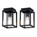 2 Pack Mayful Flush Mount Ceiling Light Fixture with Clear Glass Shade,