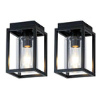 2 Pack Mayful Flush Mount Ceiling Light Fixture with Clear Glass Shade,