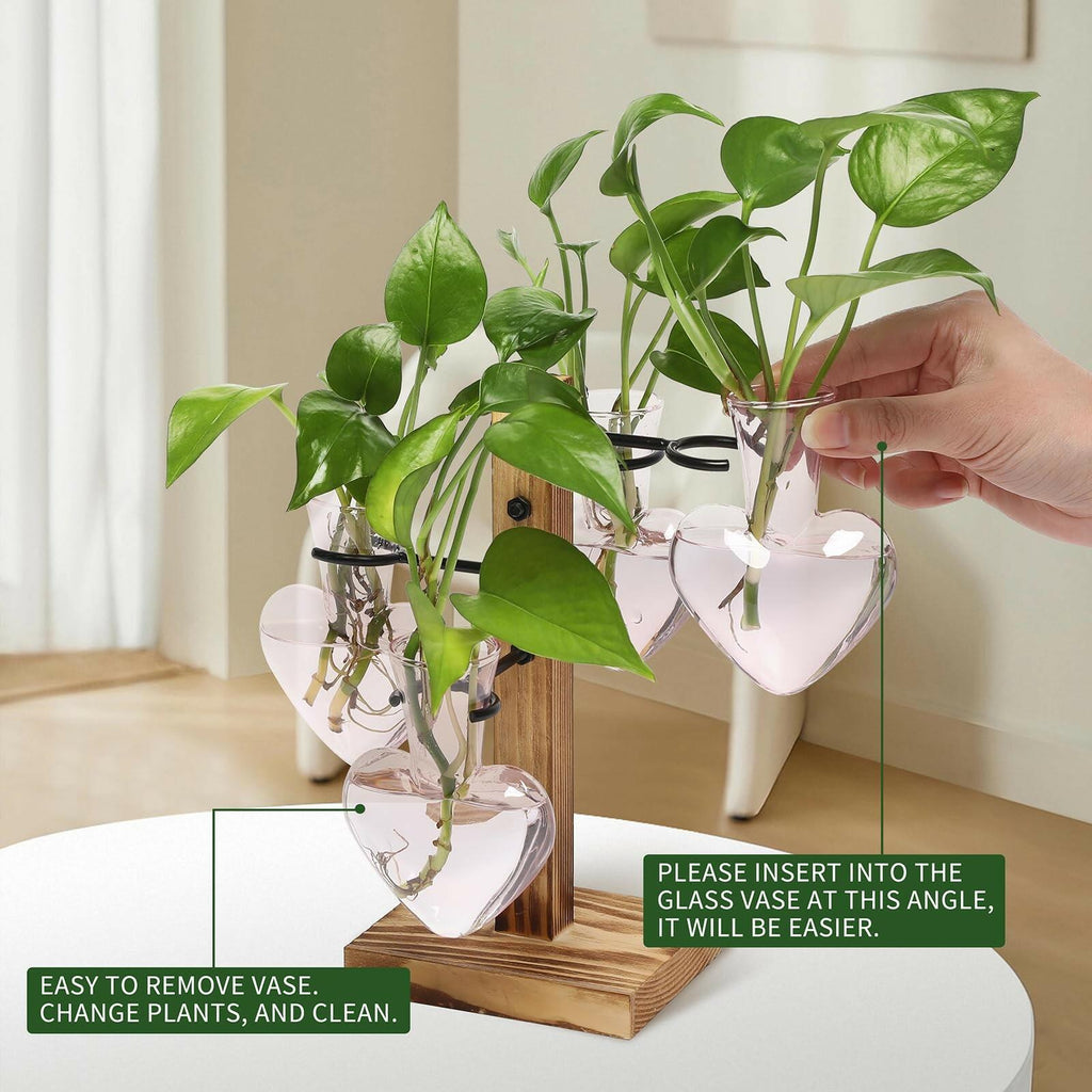 CYZglass Plant Terrarium Propagation Stations with Wooden Stand, Glass Vase for