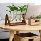 YIBOT Propagation Stations,Plant Terrarium with Retro Wooden Stand, Unique