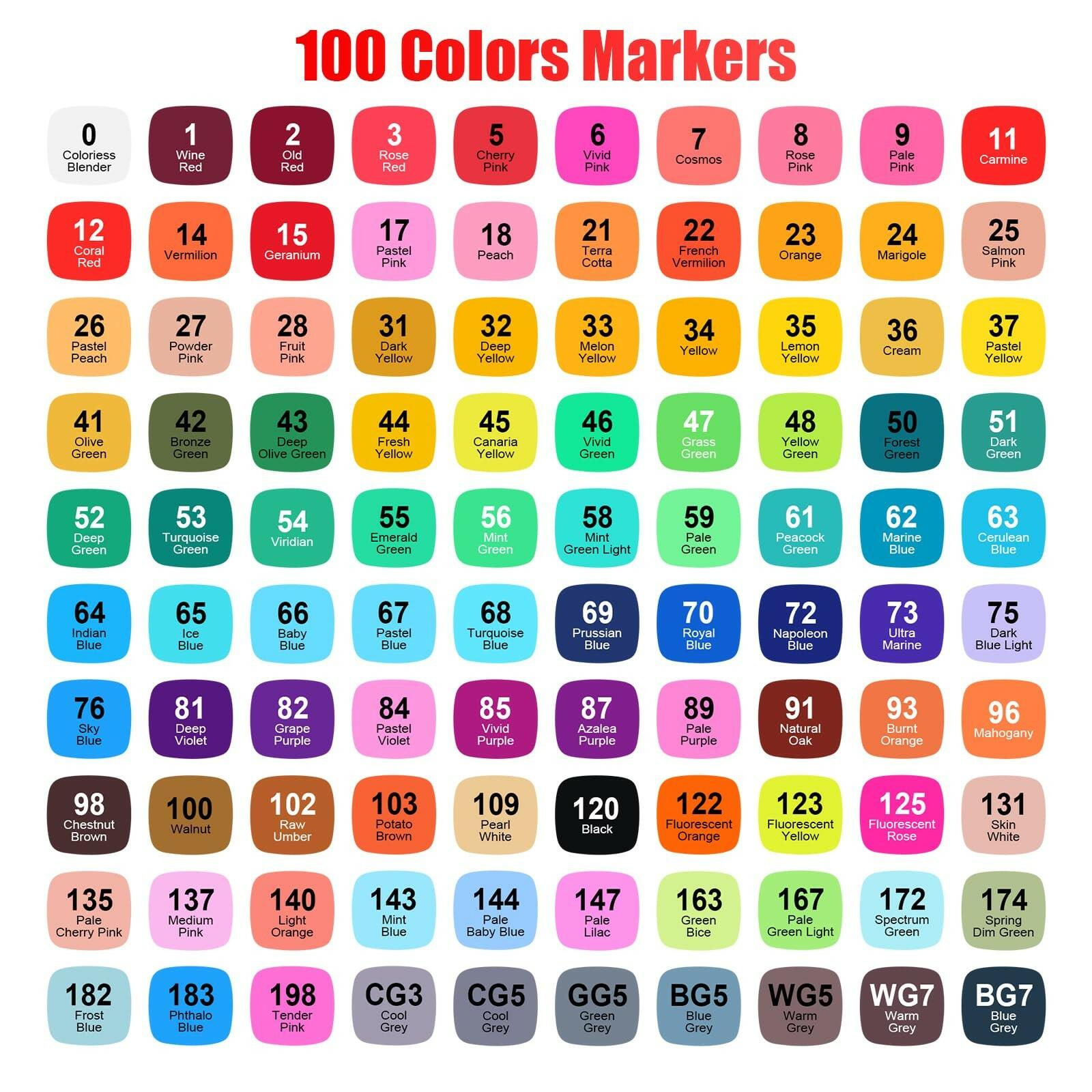 Taotree Alcohol Markers Set 100 Colors with Case & Holders, Dual Tips Art