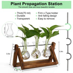 YIBOT Propagation Stations,Plant Terrarium with Retro Wooden Stand, Unique