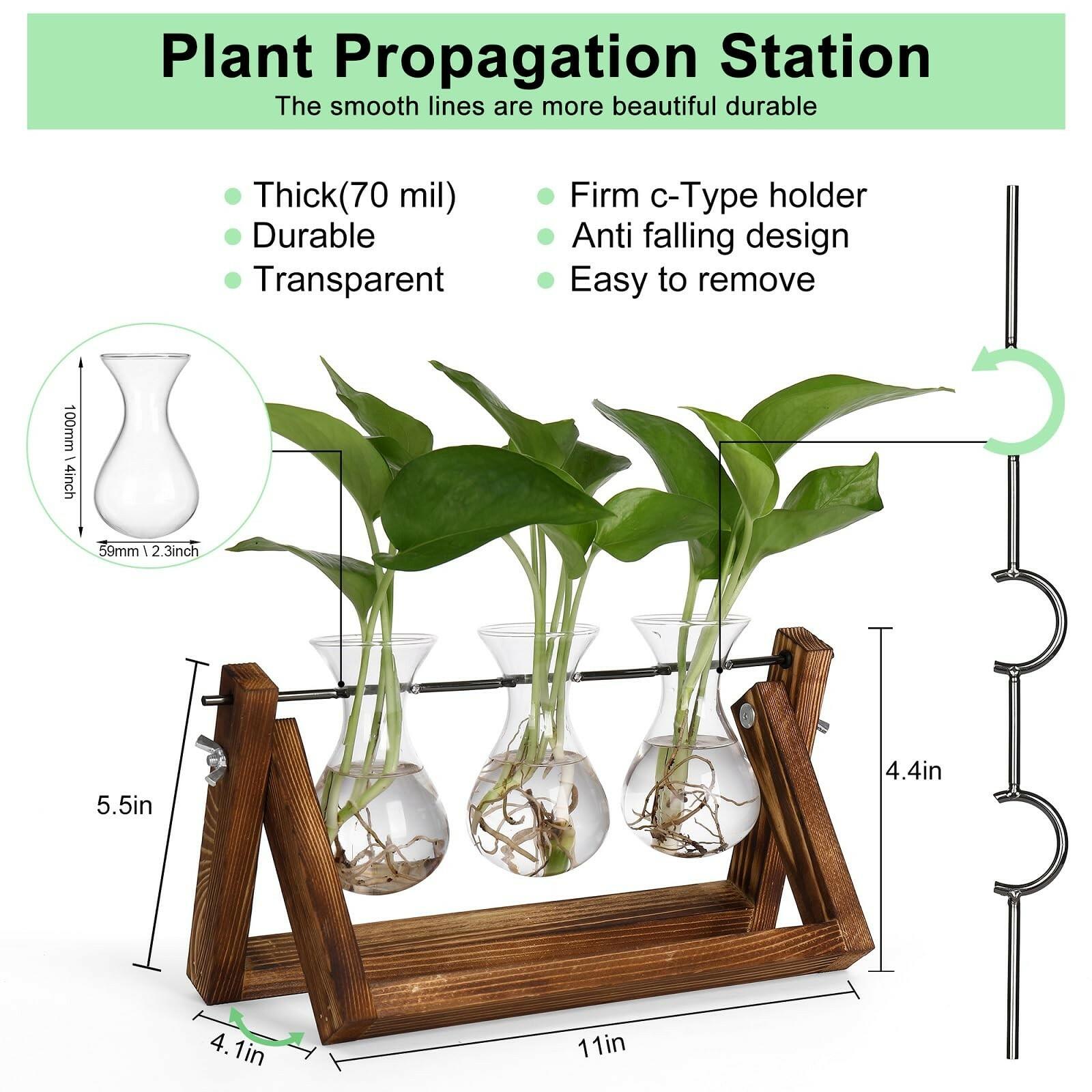 YIBOT Propagation Stations,Plant Terrarium with Retro Wooden Stand, Unique