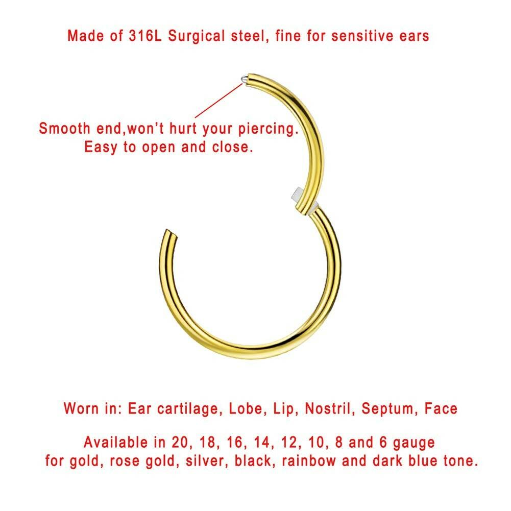 FANSING 16g 6mm Nose Hoop 16 Gauge Hinged Seamless Piercing Jewelry Ring for