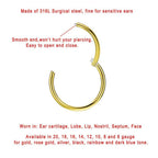FANSING 16g 6mm Nose Hoop 16 Gauge Hinged Seamless Piercing Jewelry Ring for