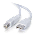 Cables To Go 13401 USB 2.0 A Male to B Male Cable 15 Feet White