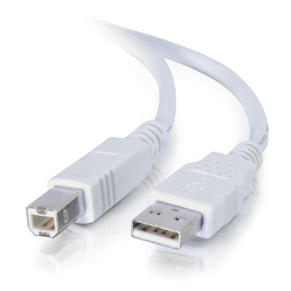Cables To Go 13401 USB 2.0 A Male to B Male Cable 15 Feet White