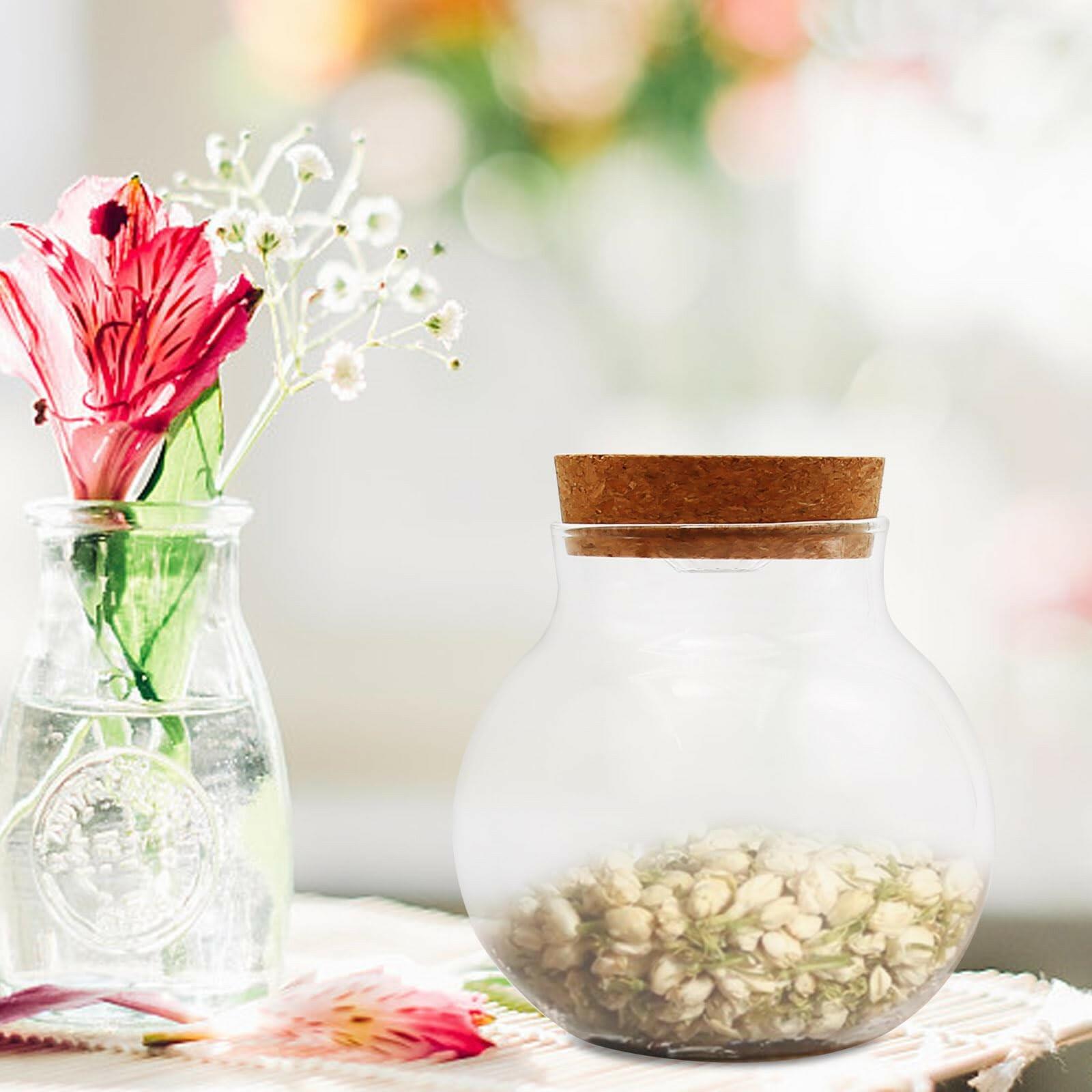 Round Glass Jar Storage Container, Plant Terrarium Display Glass, Moss Ball Bud