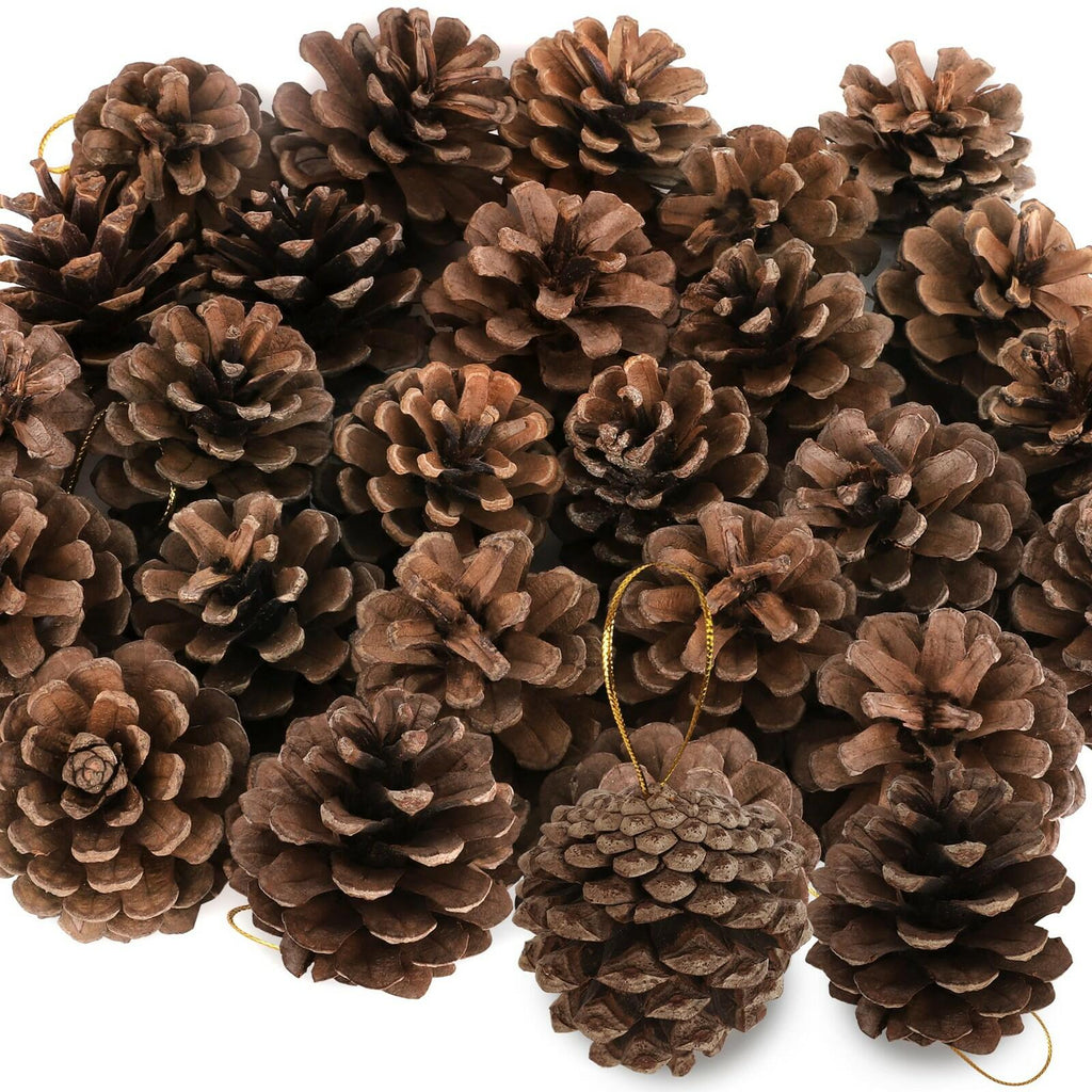 24 PCS Natural Pine Cones, 1.96 in Pinecone Ornaments, Rustic Pine Cones for