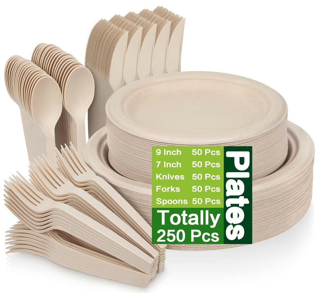Besteek 250 Piece Compostable Paper Plates Set with Extra Long Utensils