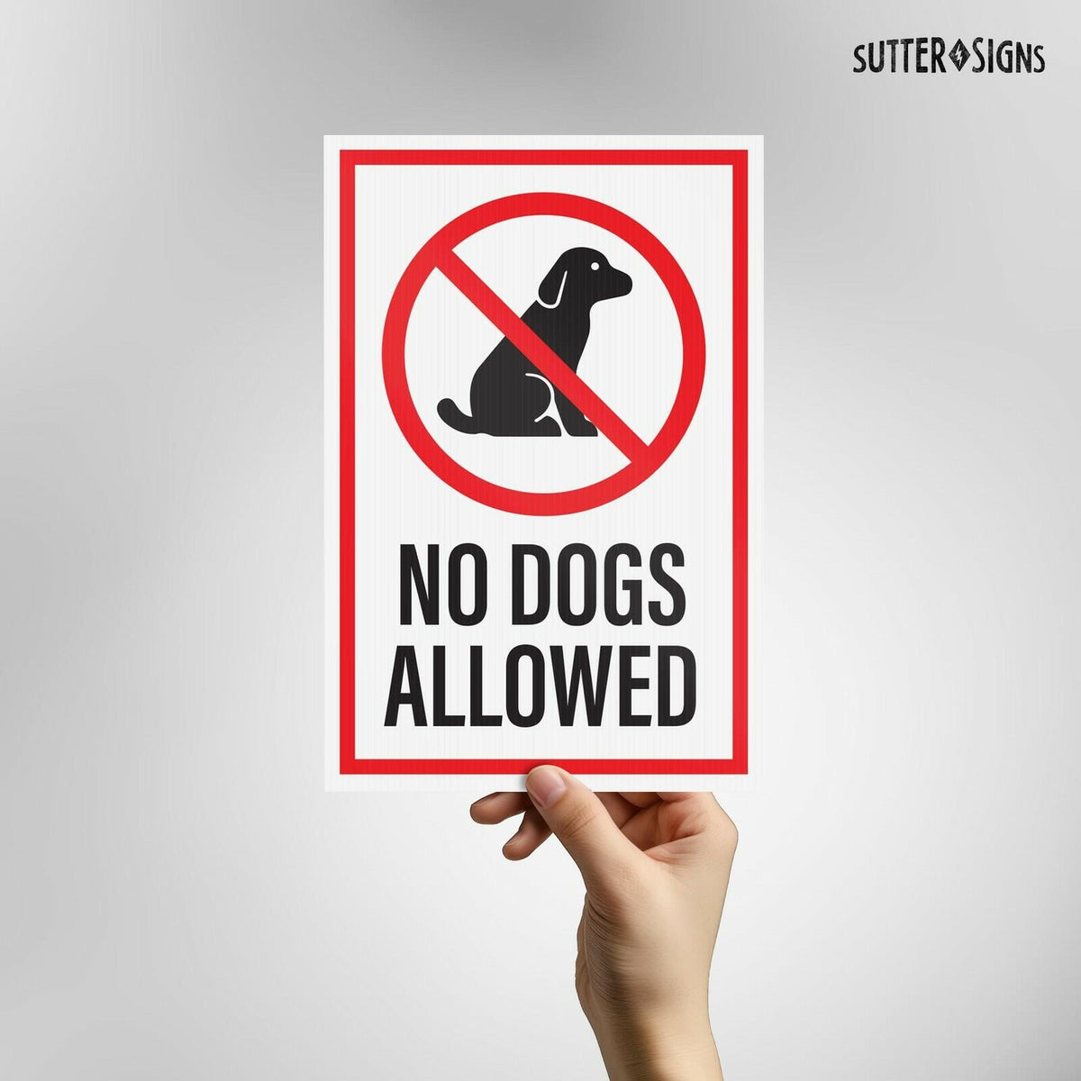 OPEN BOX - Pack of 3 No Dogs Allowed Yard Signs with H-Frame Stakes, 8" x 12"