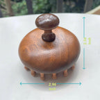 sanlusan Wooden Scalp Massager｜Bamboo Brush for Hair Growth｜Wooden Hair