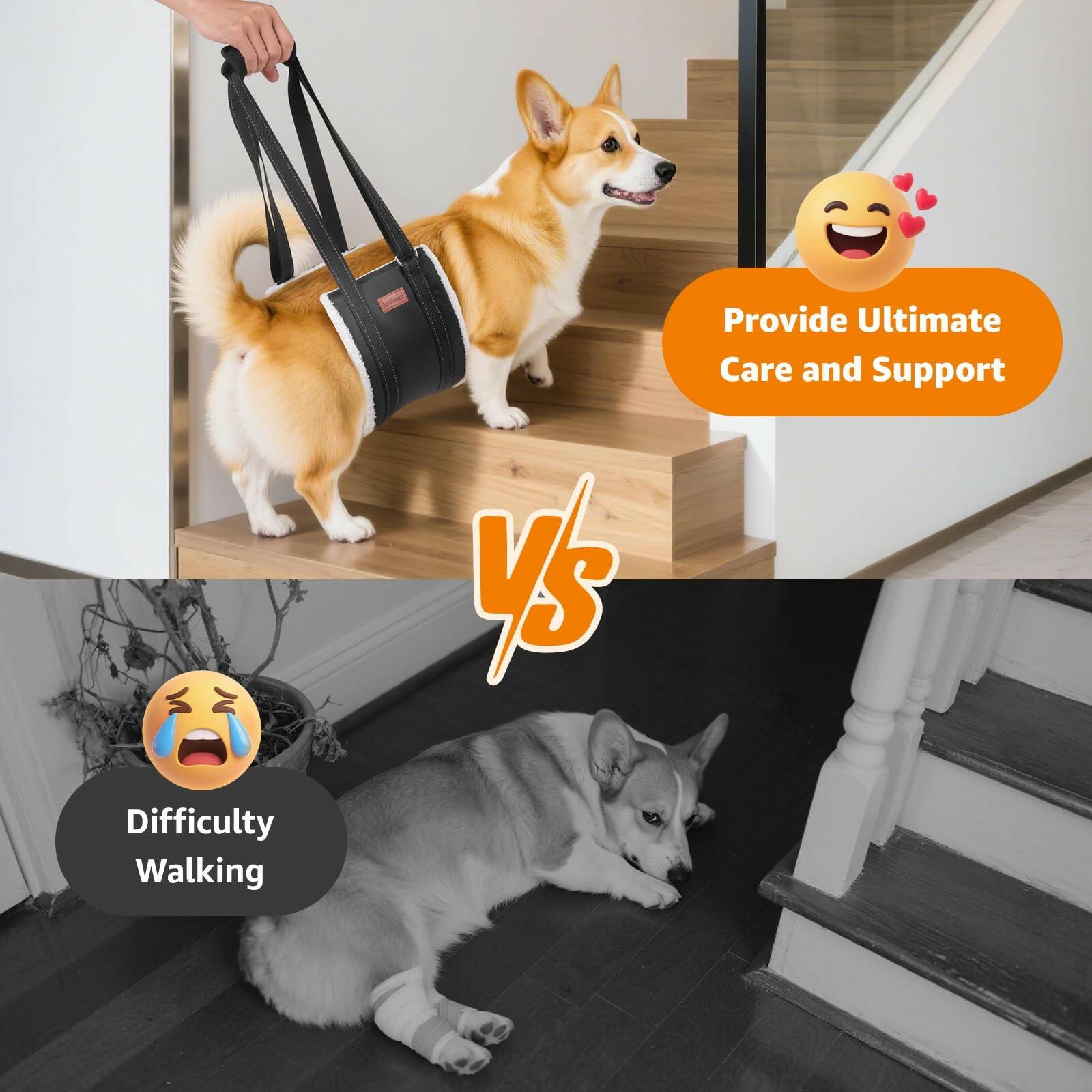 OPEN BOX - LOOBANI Portable Dog Sling for Back Legs, Hip Support Harness to Help