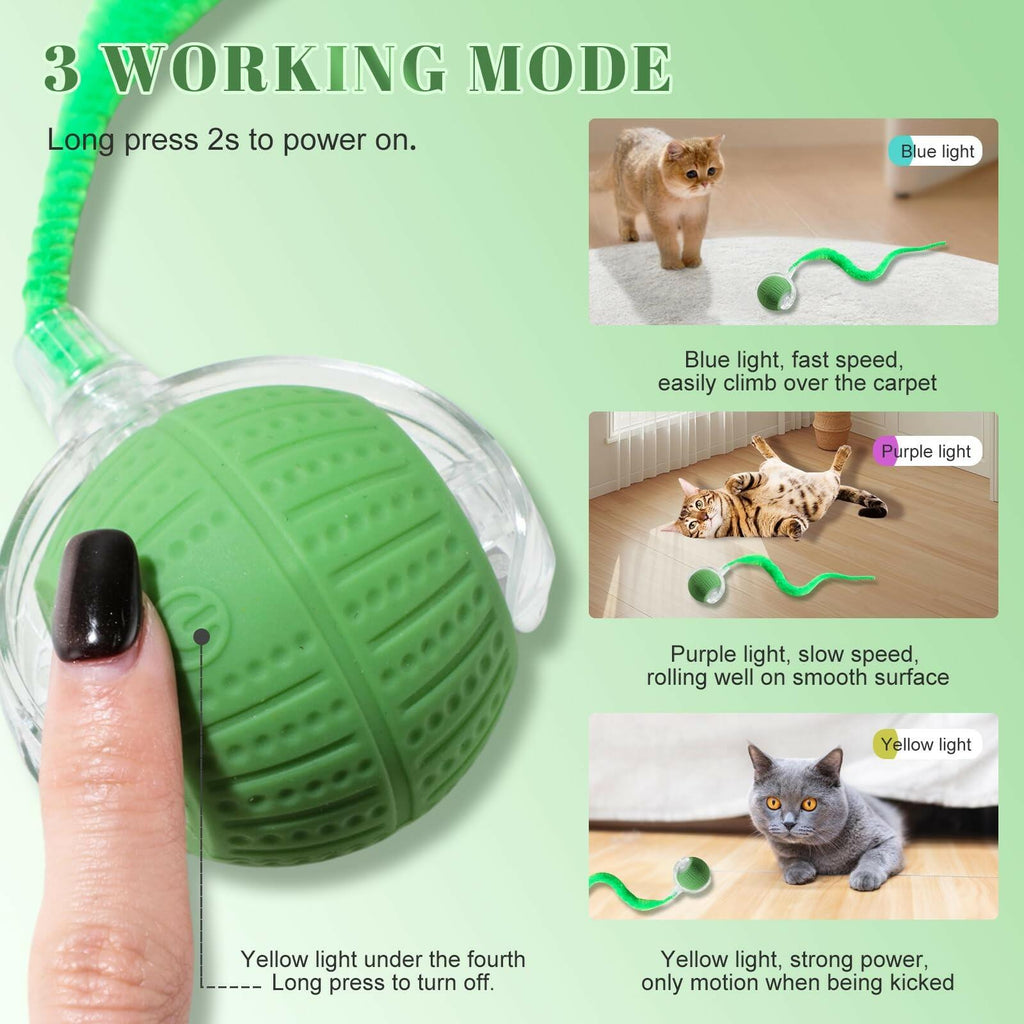 NVTED 2 PCS Interactive Cat Toys for Indoor Cats, Fast Rolling on Carpet Flash