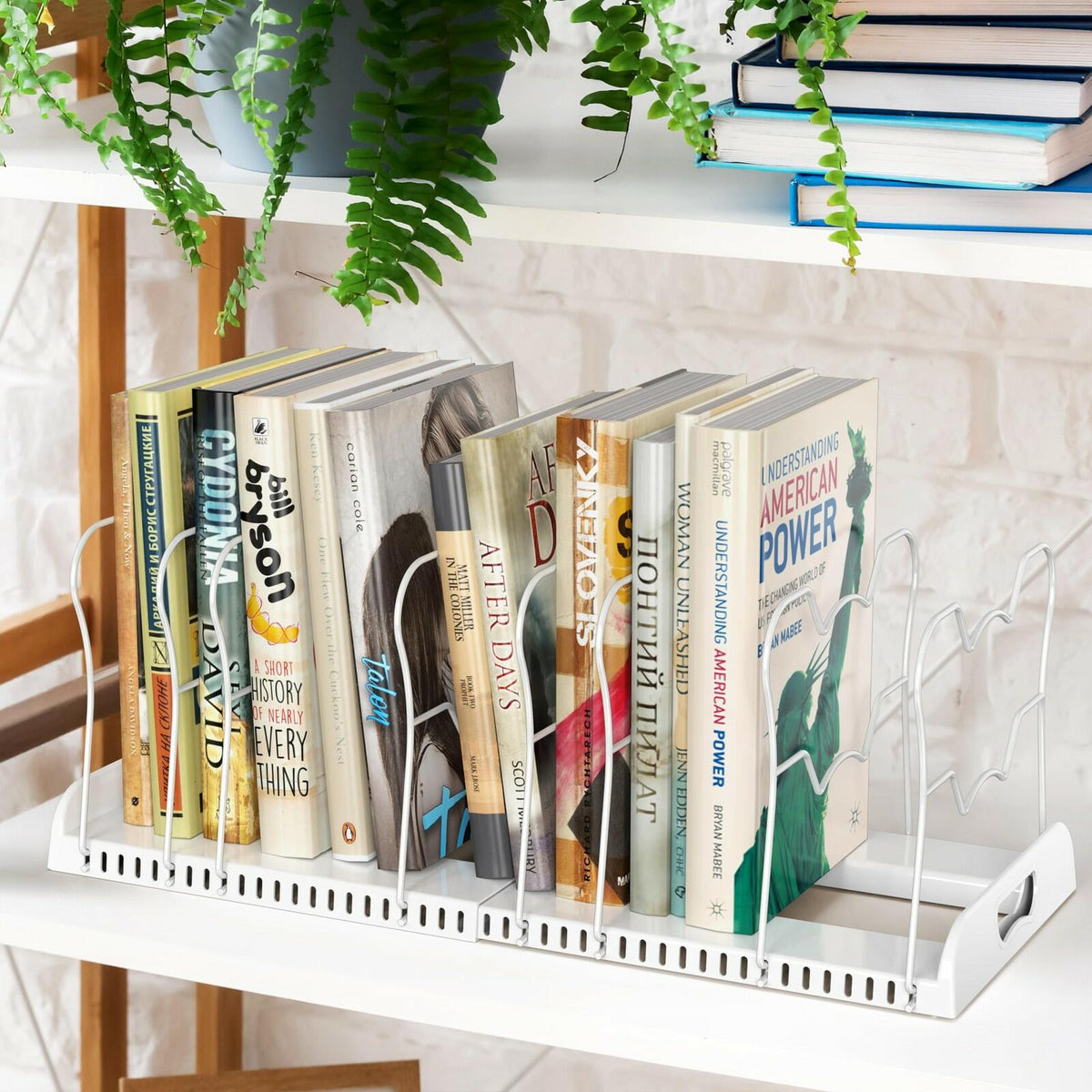 Simple Houseware Expandable Pan Organizer Rack, 10 Adjustable Compartments,