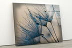 Myphotostation Dandelion Flowers Tempered Glass Wall Art 16x16'' Floral Modern