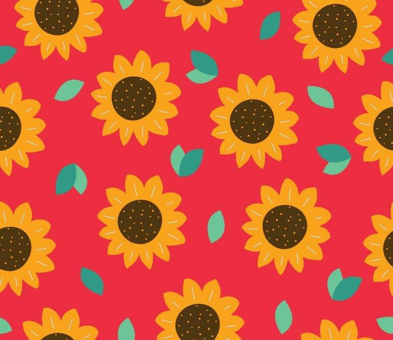 64 Count Hello Bello Diapers, Size 1 (8-12 lbs) Flower Child,  Premium