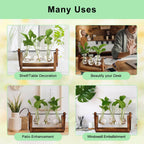 YIBOT Propagation Stations,Plant Terrarium with Retro Wooden Stand, Unique