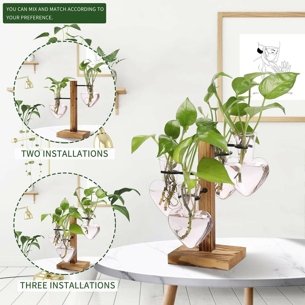 CYZglass Plant Terrarium Propagation Stations with Wooden Stand, Glass Vase for