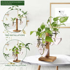 CYZglass Plant Terrarium Propagation Stations with Wooden Stand, Glass Vase for