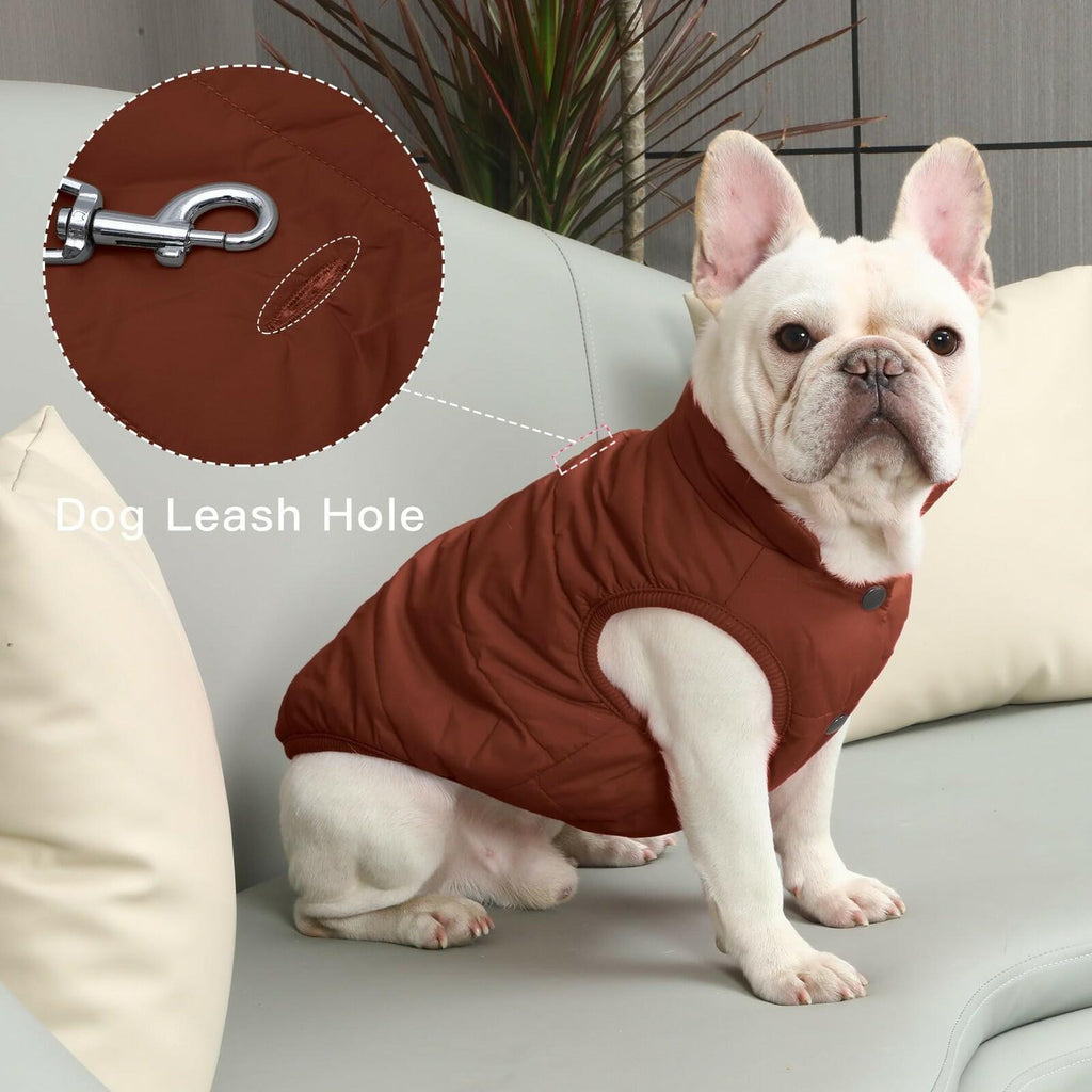 JoyDaog 2 Layers Fleece Lined Warm Dog Jacket for Puppy Winter Cold Weather,Soft