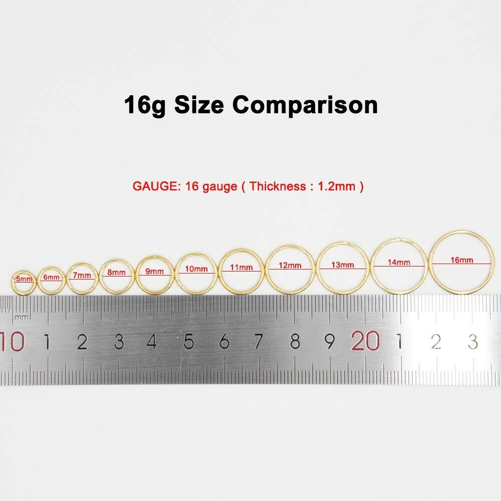 FANSING 16g 6mm Nose Hoop 16 Gauge Hinged Seamless Piercing Jewelry Ring for