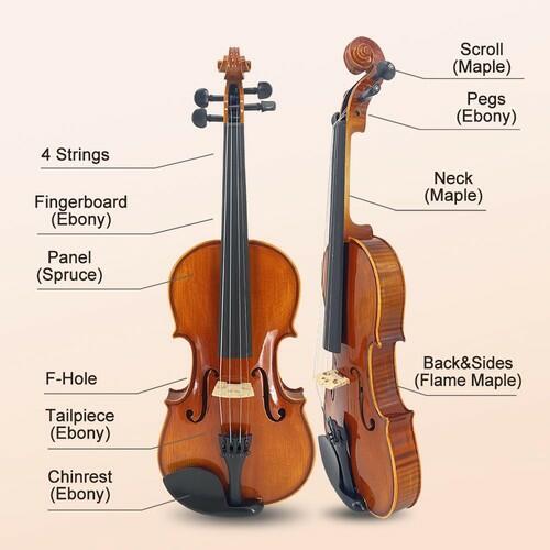 Vetimobato 4/4 Full Size Violin Set Solid Maple Spruce Complete Kit Case Bow