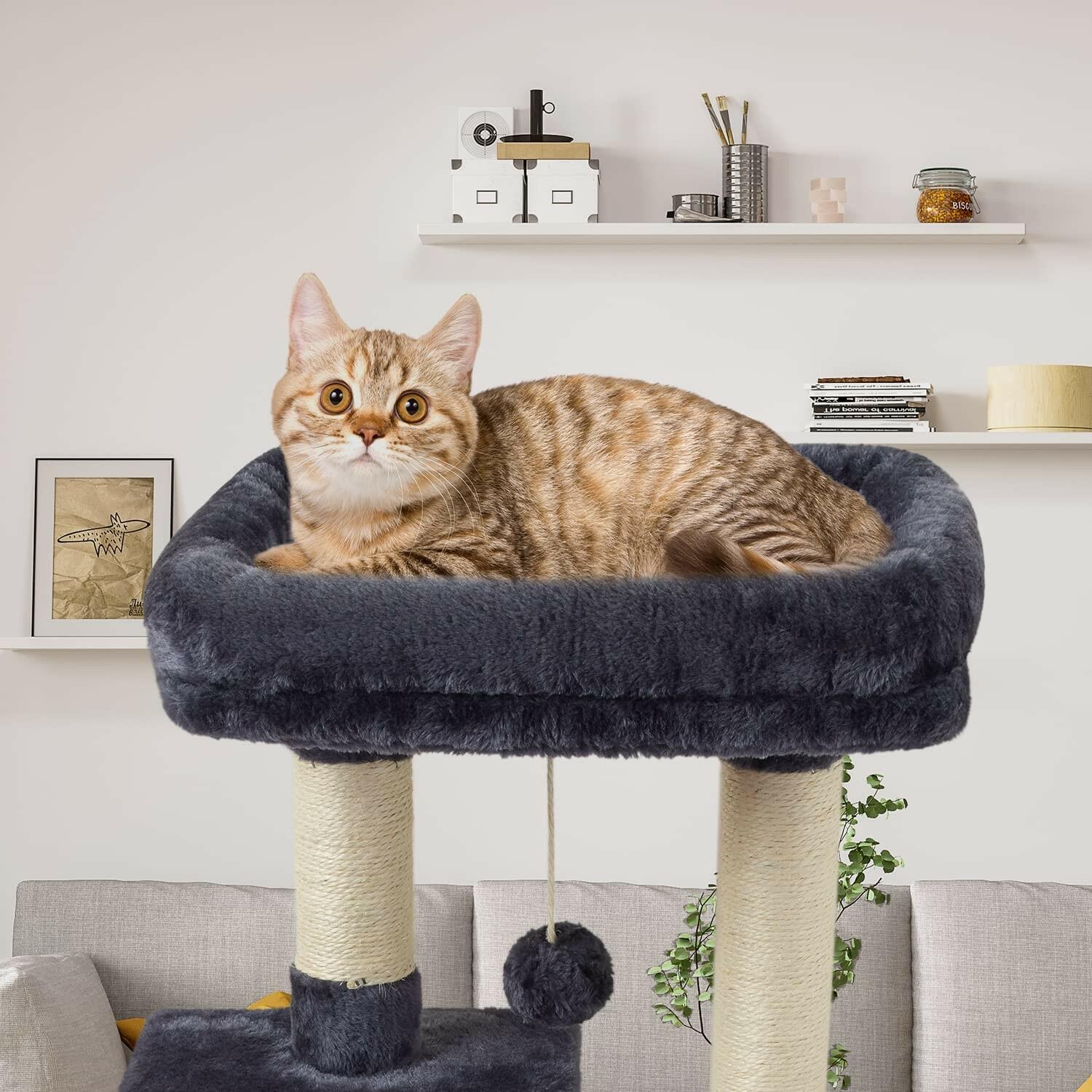 OPEN BOX - FISH&NAP Cute Cat Tree Kitten Cat Tower for Indoor Cat Condo Sisal