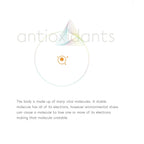 DermaQuest C Infusion Facial Cleanser - Vitamin C, Antioxidant, & Brightening