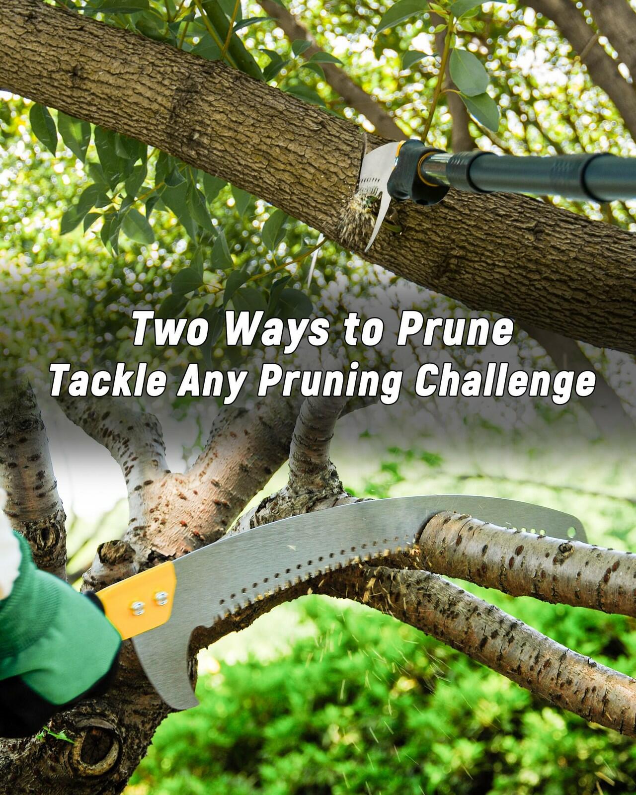 BlumeTrec 11FT Pole Saw with Adjustable Length for Tree Trimming, Lightweight