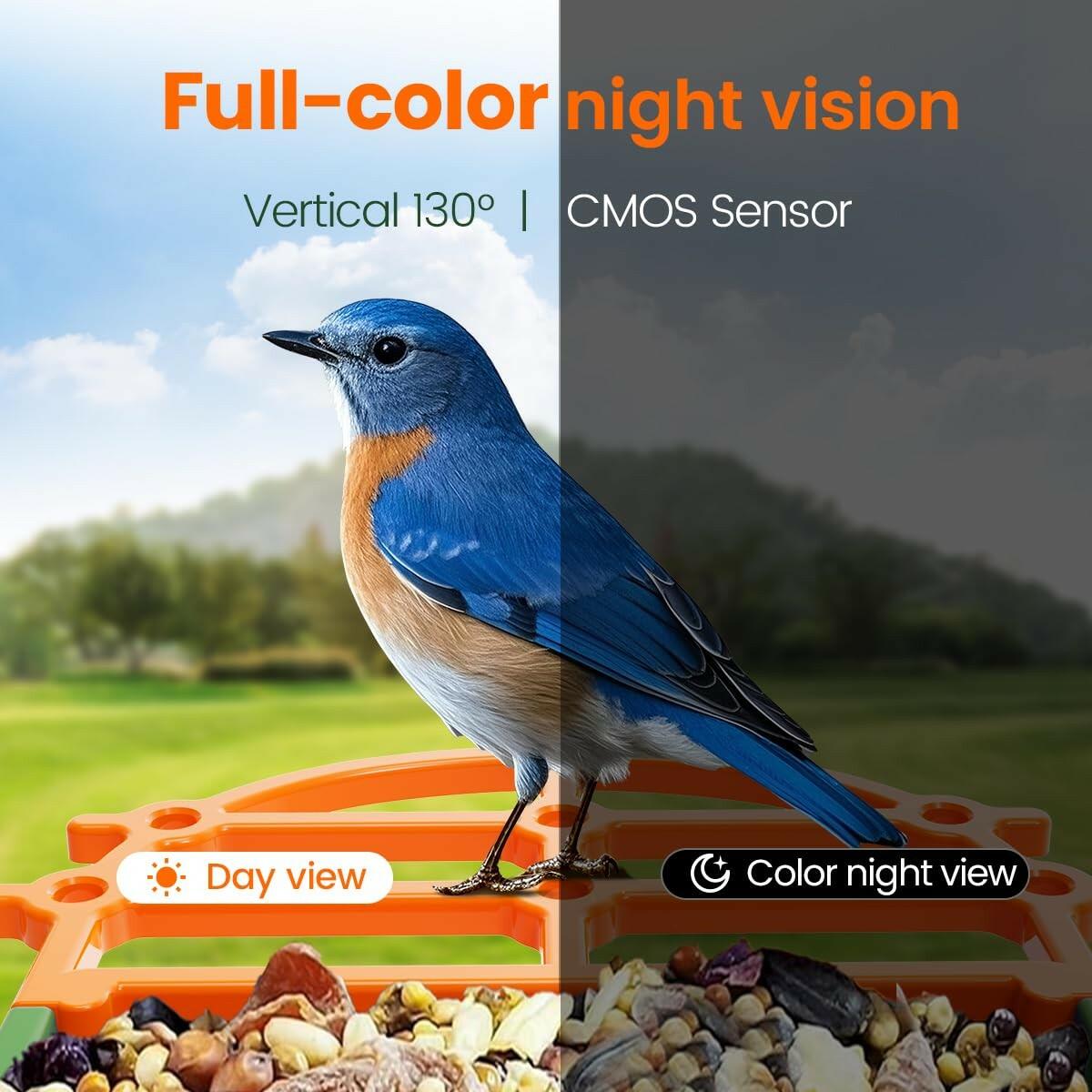 PawPeri Bird Feeder with Camera 2.5K HD Live Video, AI Bird Identifier, 5MP