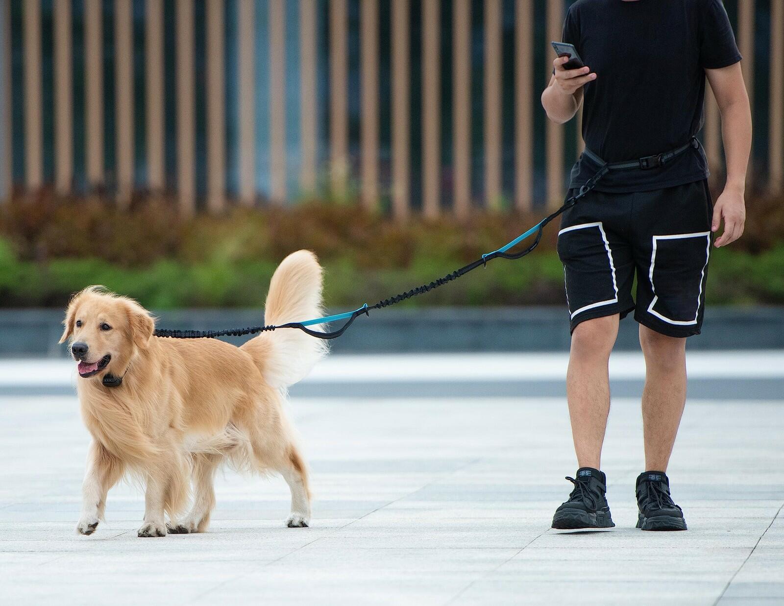 iYoShop Retractable Hands Free Dog Leash - Dual Handle Bungee Waist Leash for