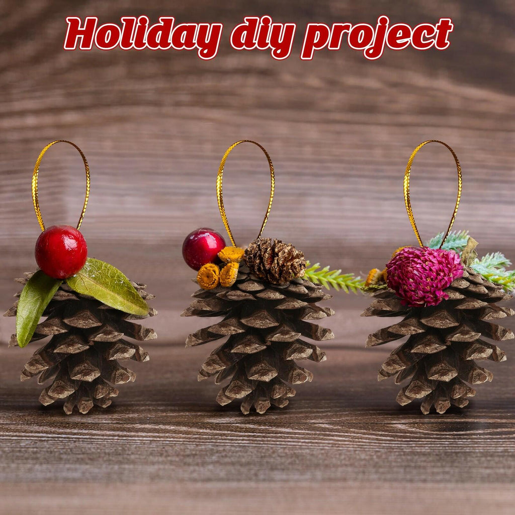 24 PCS Natural Pine Cones, 1.96 in Pinecone Ornaments, Rustic Pine Cones for