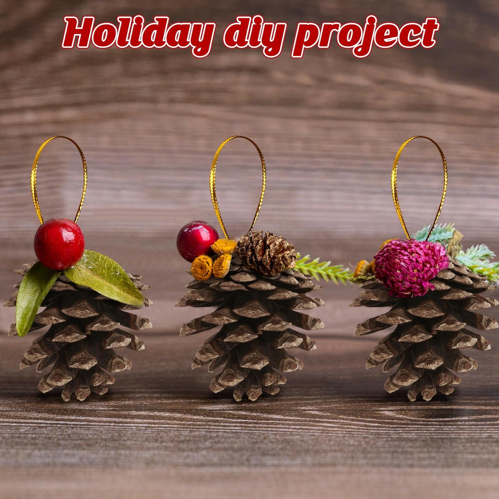 24 PCS Natural Pine Cones, 1.96 in Pinecone Ornaments, Rustic Pine Cones for