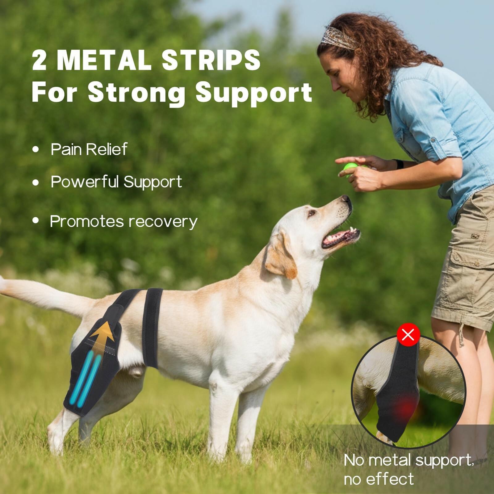 GoGoPaw SMALL Dog Knee Brace for Torn ACL Hind Leg–Adjustable Support Dog Leg