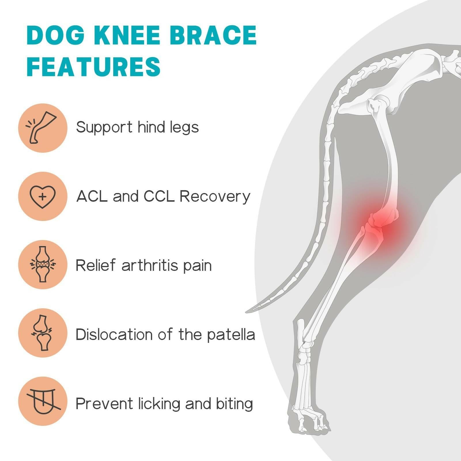 GoGoPaw SMALL Dog Knee Brace for Torn ACL Hind Leg–Adjustable Support Dog Leg