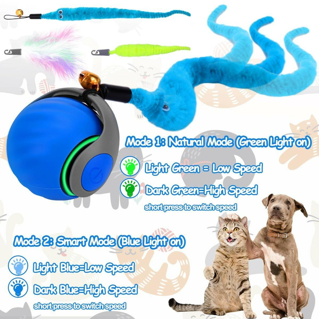 Interactive Cat Toy Ball - Speedy Cat Toys for Indoor Cats with Feather Tails